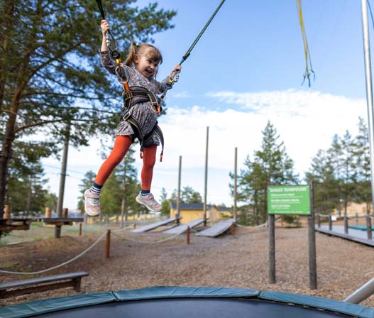 Bungee Trampoline